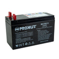 PROKUT BAT8513 12V 9Ah AGM sealed lead acid ZTR battery with F3 bolt-on terminals